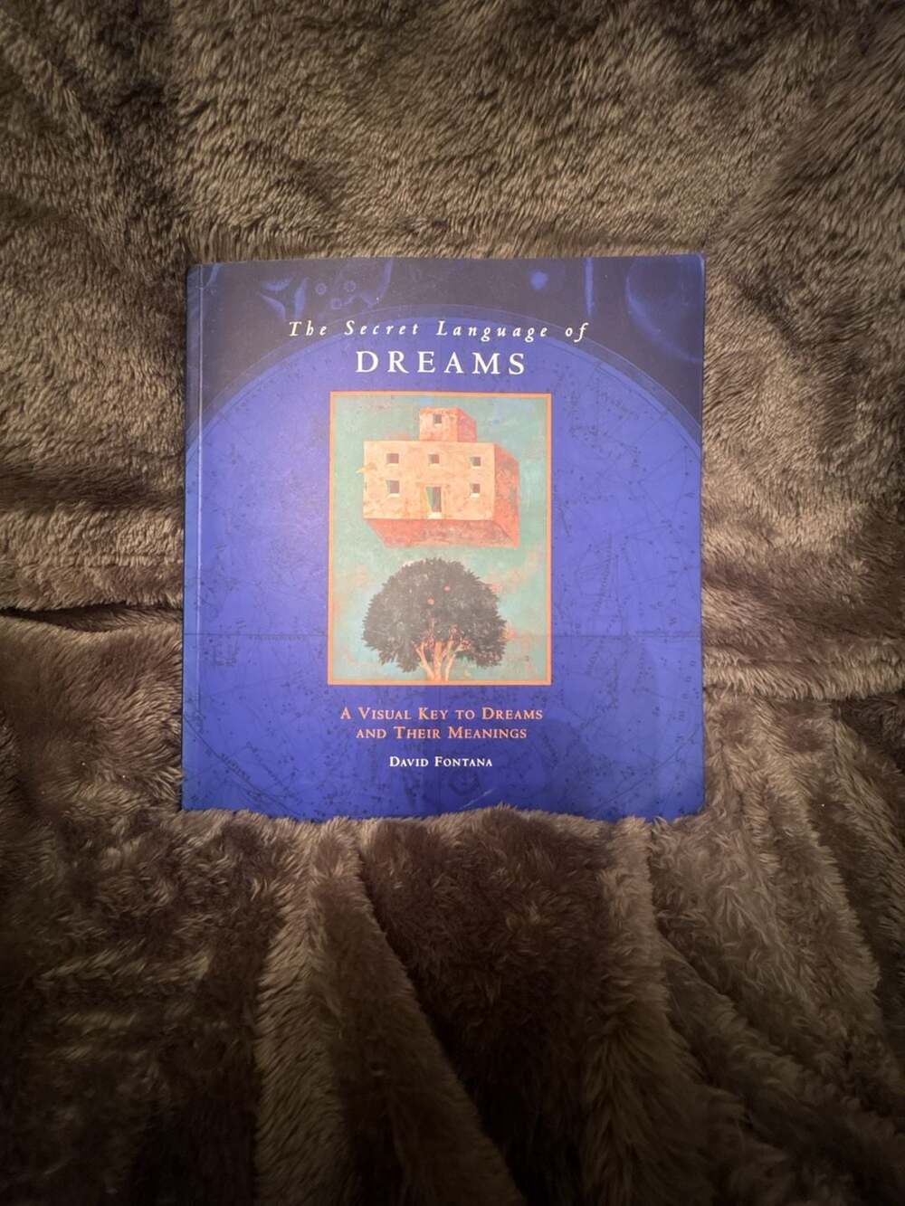 Chronicle Books The Secret Language Of Dreams David Fontana Paperback